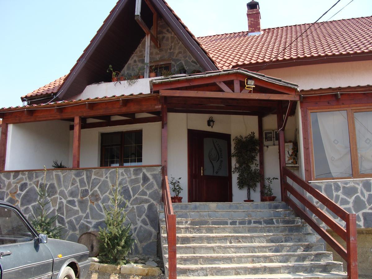 Pensiunea Taverna Bucium Jászvásár Kültér fotó